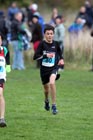 Blue 80, North East Harrier League, Sunderland
